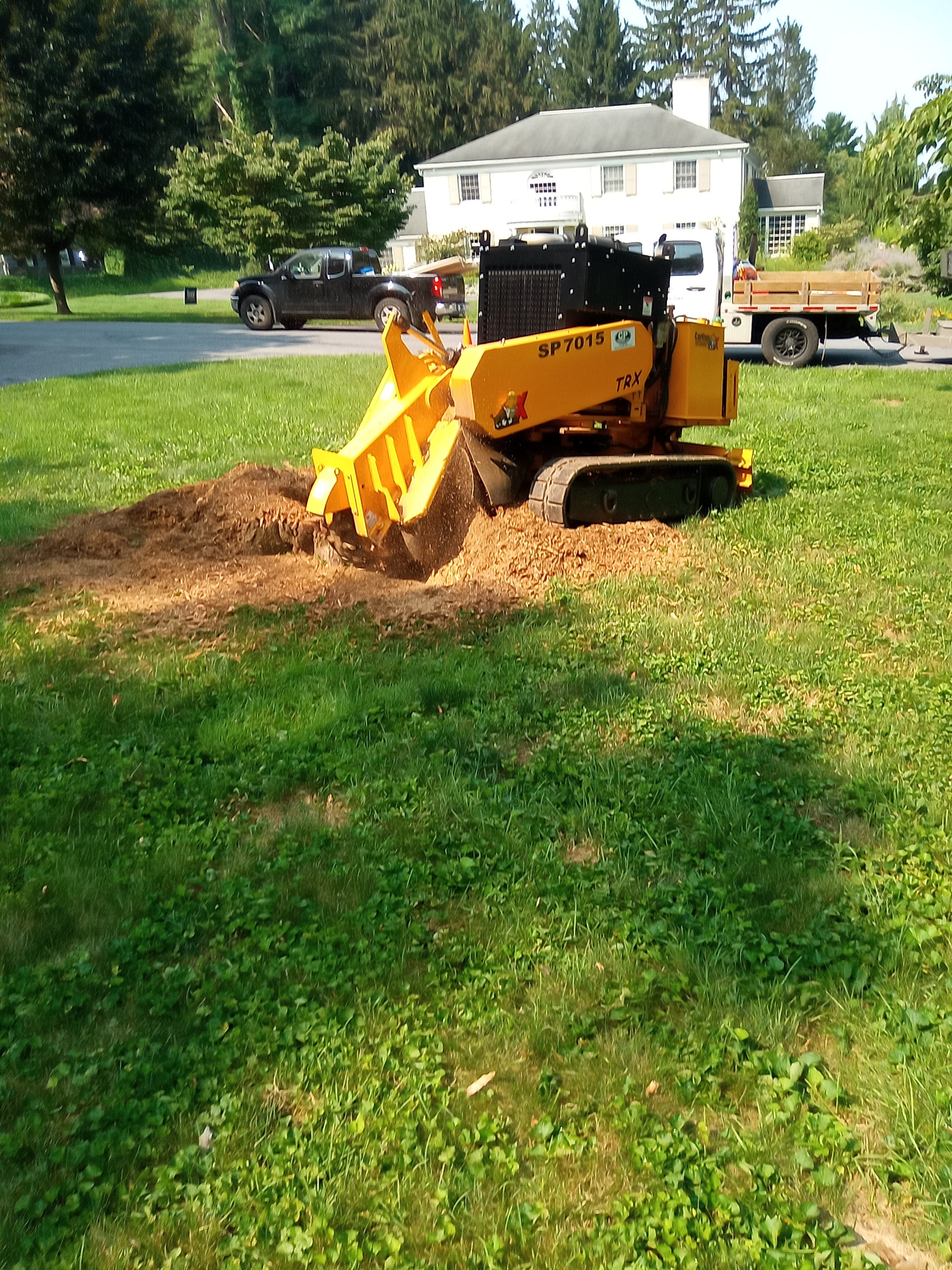 Northern Slope stump grinding work in progress